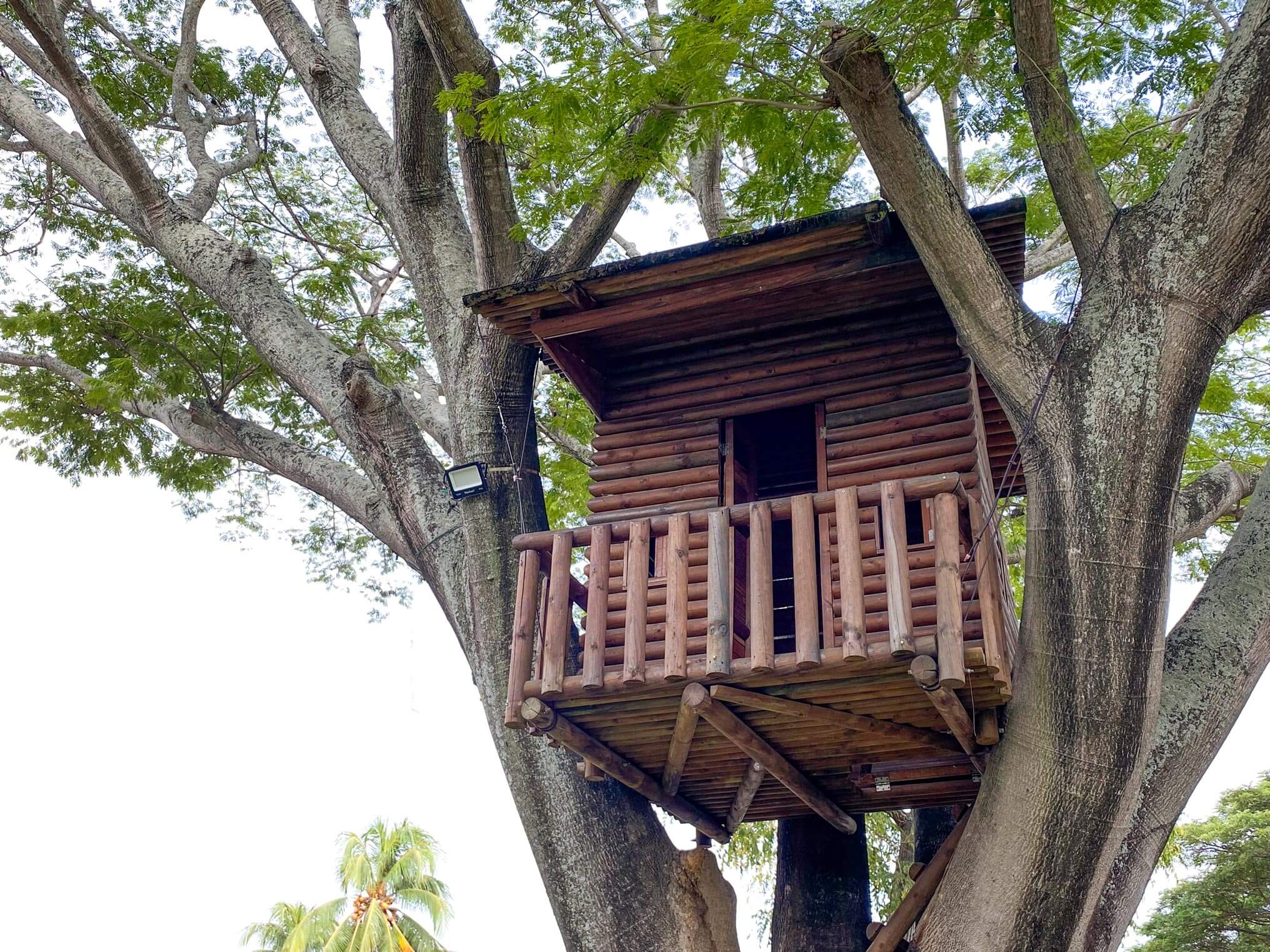 CASA-EN-EL-ARBOL